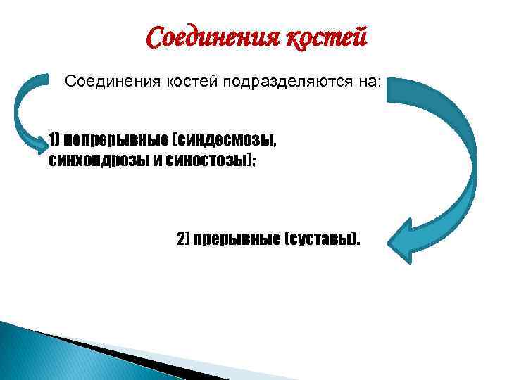 Соединения костей подразделяются на: 1) непрерывные (синдесмозы, синхондрозы и синостозы); 2) прерывные (суставы). 