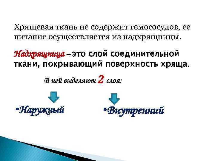 Хрящевая ткань не содержит гемососудов, ее питание осуществляется из надхрящницы. Надхрящница – это слой