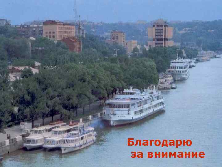 Благодарю за внимание 