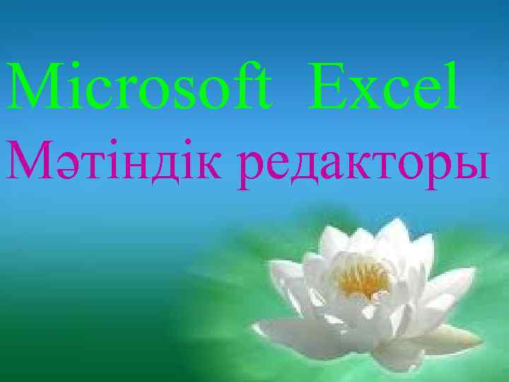 Microsoft Excel Мәтіндік редакторы 