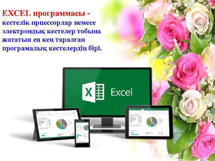 EXCEL программасы кестелік прцессорлар немесе электрондық кестелер тобына жататын ең кең таралған програмалық кестелердің