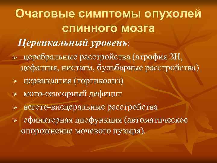 Очаговые симптомы опухолей спинного мозга Цервикальный уровень: Ø Ø Ø церебральные расстройства (атрофия ЗН,