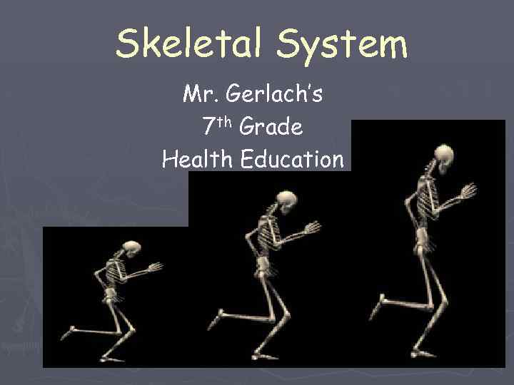 Skeletal System Mr. Gerlach’s 7 th Grade Health Education 