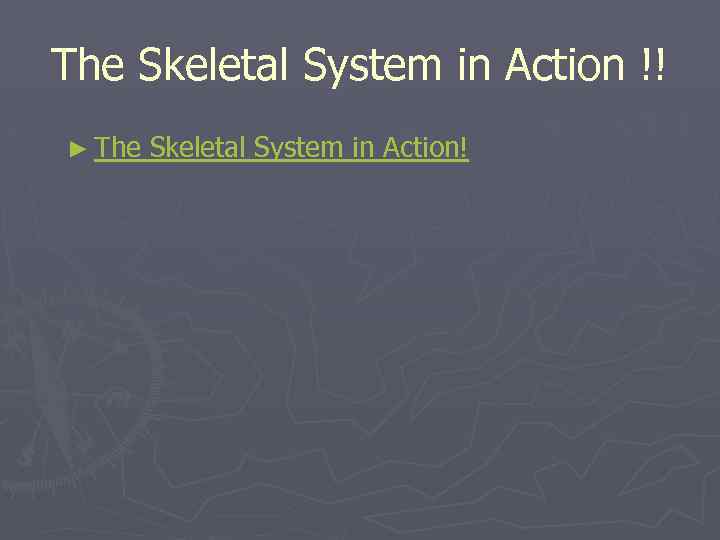 The Skeletal System in Action !! ► The Skeletal System in Action! 