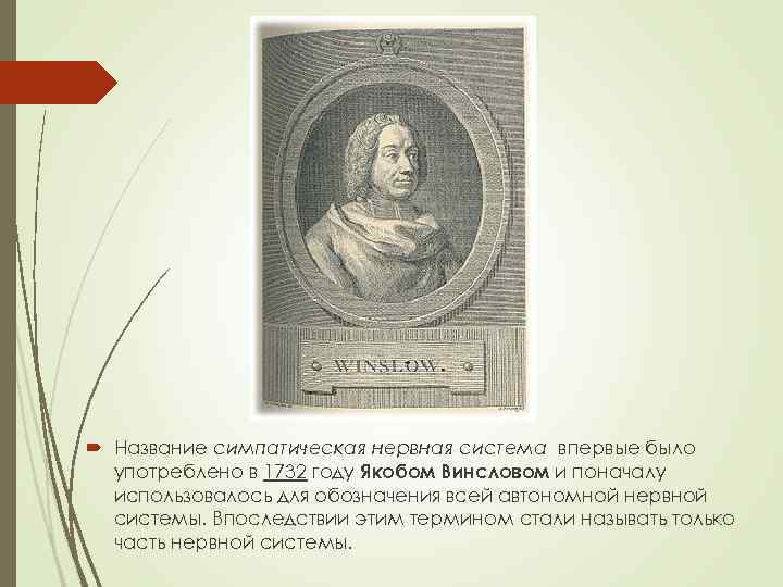  Название симпатическая нервная система впервые было употреблено в 1732 году Якобом Винсловом и