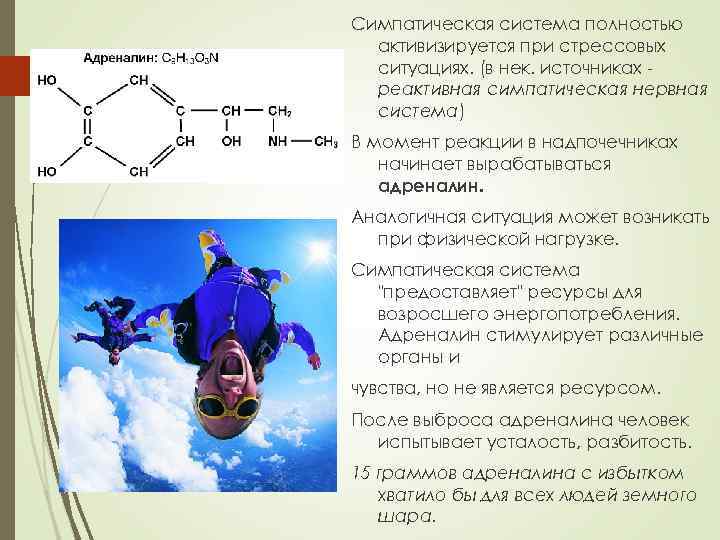 Какая система человека активизируется при проникновении