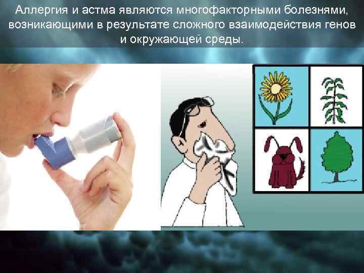 Аллергия и астма являются многофакторными болезнями, возникающими в результате сложного взаимодействия генов и окружающей