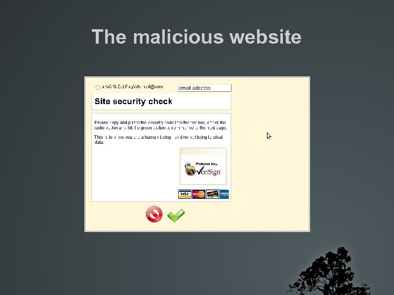 The malicious website 