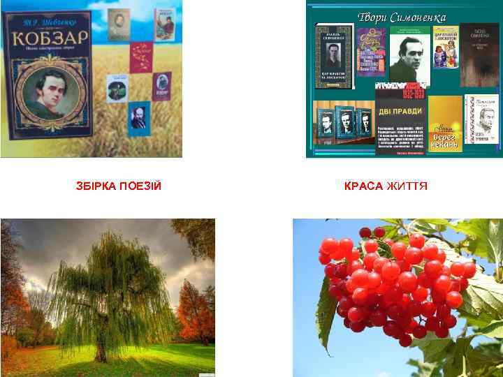 ЗБІРКА ПОЕЗІЙ КРАСА ЖИТТЯ 