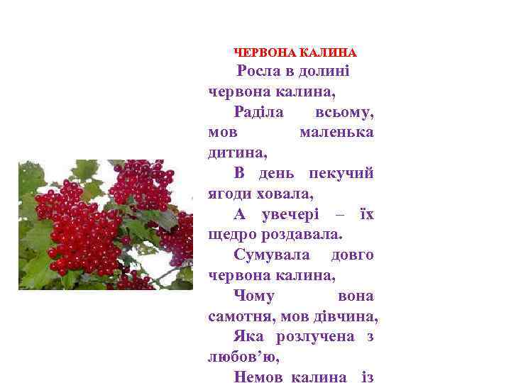 Песня калина