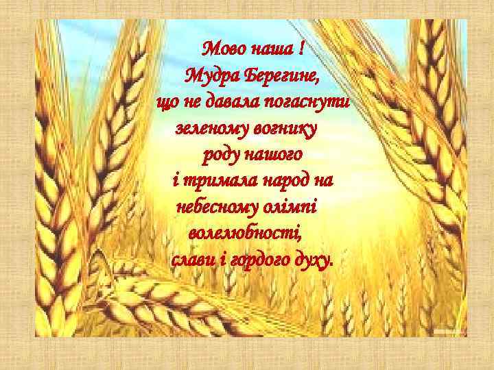 Мово наша ! Мудра Берегине, що не давала погаснути зеленому вогнику роду нашого і