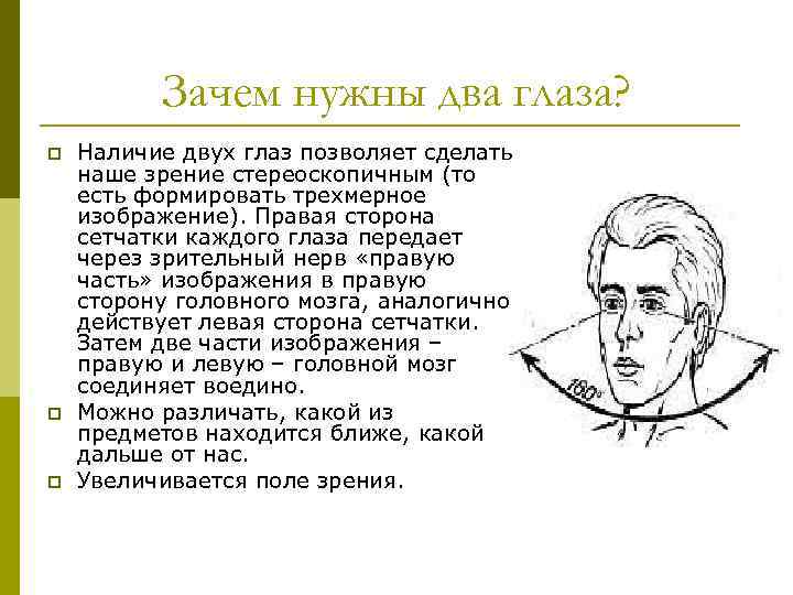 Зачем нужны два глаза? p p p Наличие двух глаз позволяет сделать наше зрение