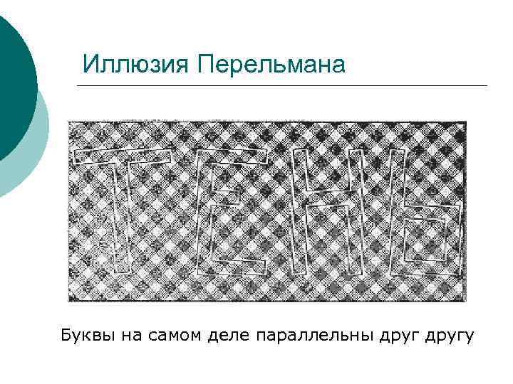 Иллюзия Перельмана Буквы на самом деле параллельны другу 