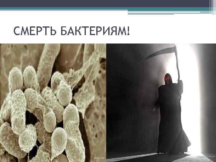 СМЕРТЬ БАКТЕРИЯМ! 
