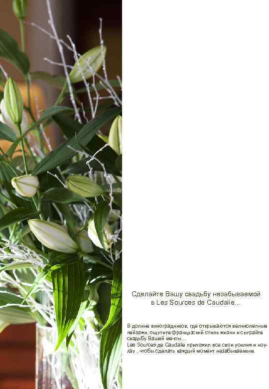 Сделайте Вашу свадьбу незабываемой в Les Sources de Caudalie… В долине виноградников, где открываются