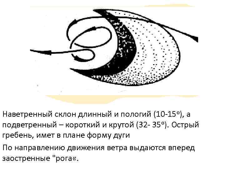 Наветренный склон длинный и пологий (10 -15 o), а подветренный – короткий и крутой