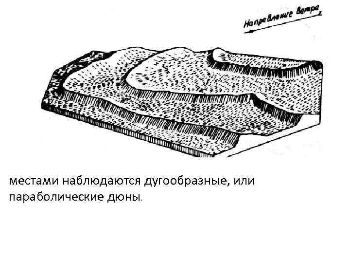 местами наблюдаются дугообразные, или параболические дюны. 