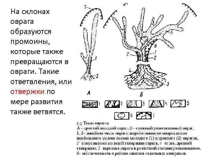 Во что превращается овраг. Типы оврагов. Строение оврага. Структура оврага.