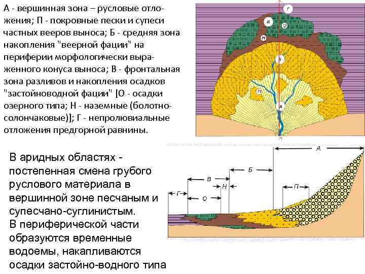 А - вершинная зона – русловые отложения; П - покровные пески и супеси частных