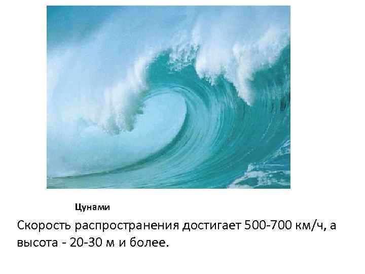 Цунами Скорость распространения достигает 500 -700 км/ч, а высота - 20 -30 м и