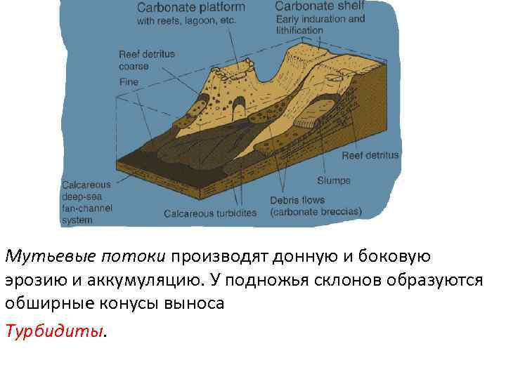 Мутьевые потоки производят донную и боковую эрозию и аккумуляцию. У подножья склонов образуются обширные