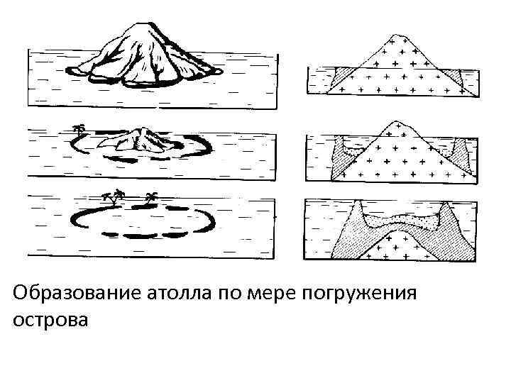 Образование атолла по мере погружения острова 