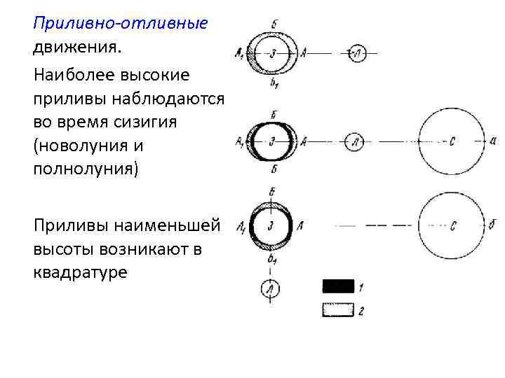 Приливно-отливные движения. Наиболее высокие приливы наблюдаются во время сизигия (новолуния и полнолуния) Приливы наименьшей