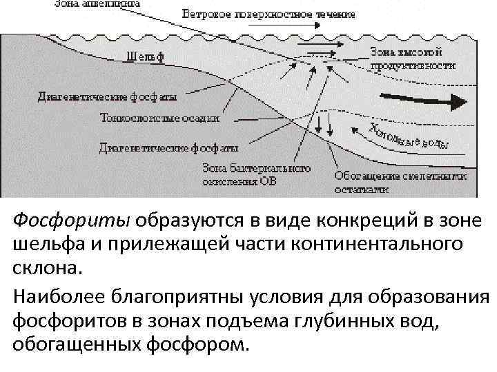 Фосфориты образуются в виде конкреций в зоне шельфа и прилежащей части континентального склона. Наиболее