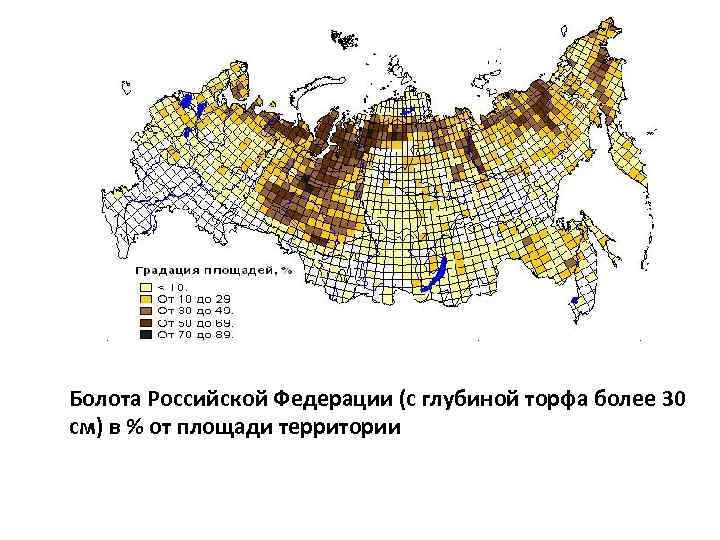 Болота Российской Федерации (с глубиной торфа более 30 см) в % от площади территории