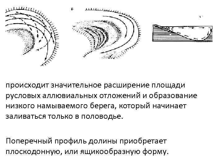 происходит значительное расширение площади русловых аллювиальных отложений и образование низкого намываемого берега, который начинает