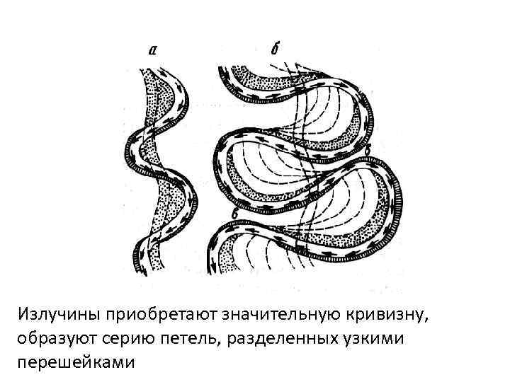 Излучины приобретают значительную кривизну, образуют серию петель, разделенных узкими перешейками 