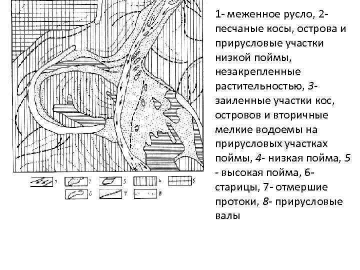 1 - меженное русло, 2 песчаные косы, острова и прирусловые участки низкой поймы, незакрепленные