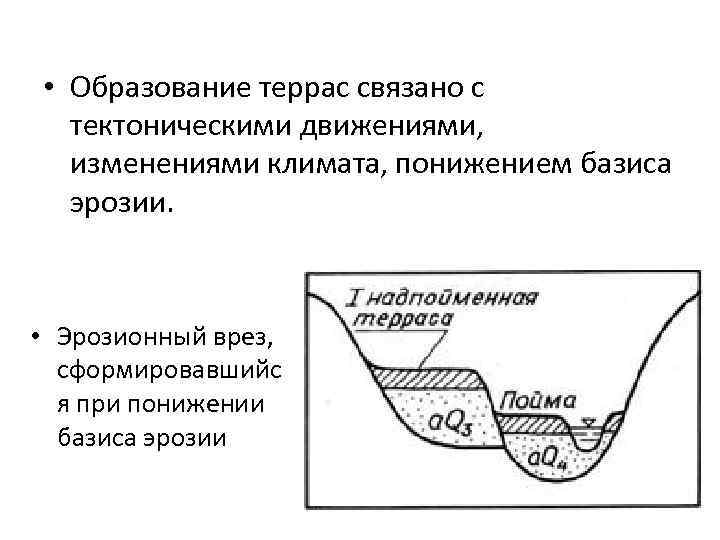  • Образование террас связано с тектоническими движениями, изменениями климата, понижением базиса эрозии. •