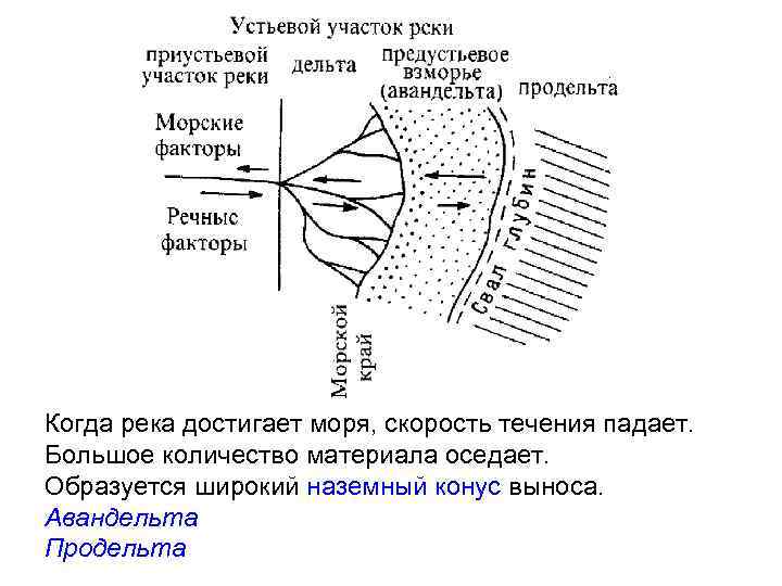 Когда река достигает моря, скорость течения падает. Большое количество материала оседает. Образуется широкий наземный