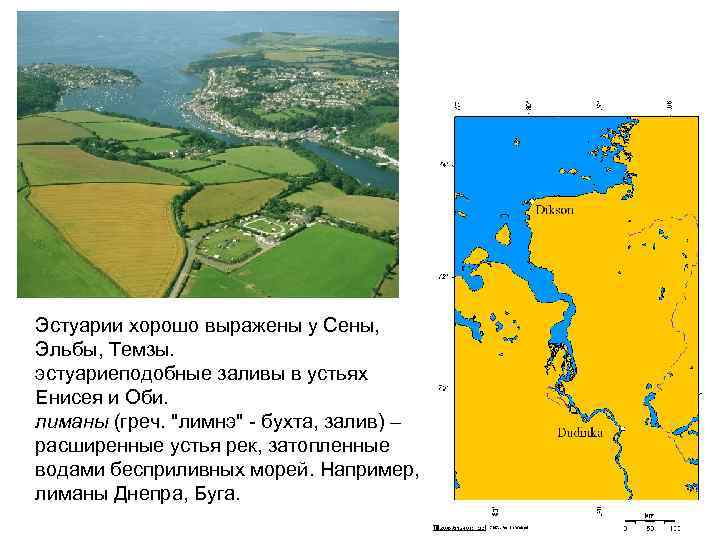 Эстуарии хорошо выражены у Сены, Эльбы, Темзы. эстуариеподобные заливы в устьях Енисея и Оби.