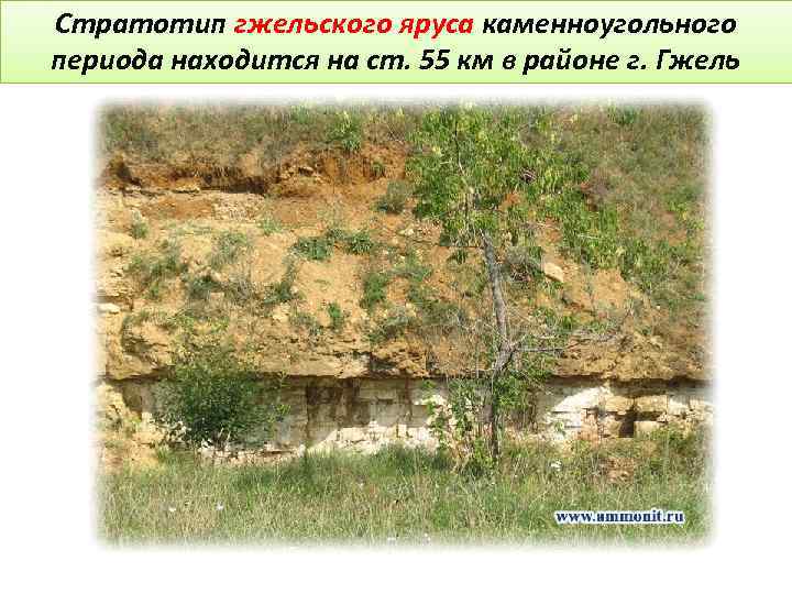 Стратотип гжельского яруса каменноугольного периода находится на ст. 55 км в районе г. Гжель