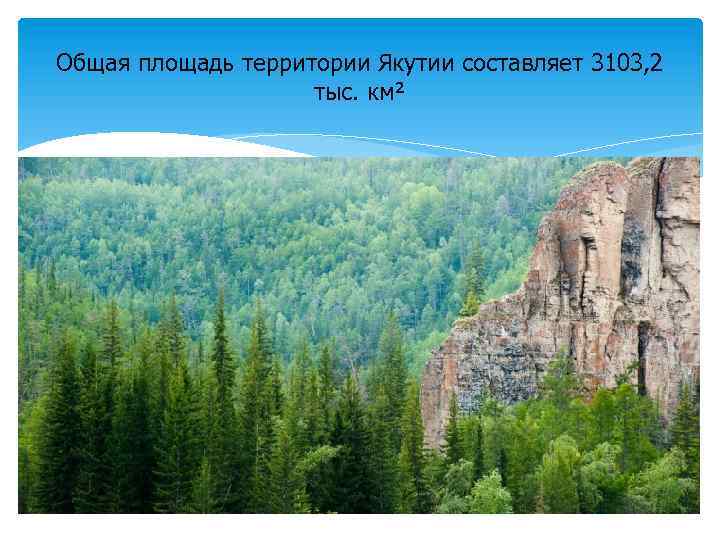 Общая площадь территории Якутии составляет 3103, 2 тыс. км² 