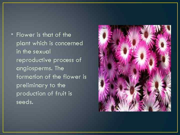  • Flower is that of the plant which is concerned in the sexual