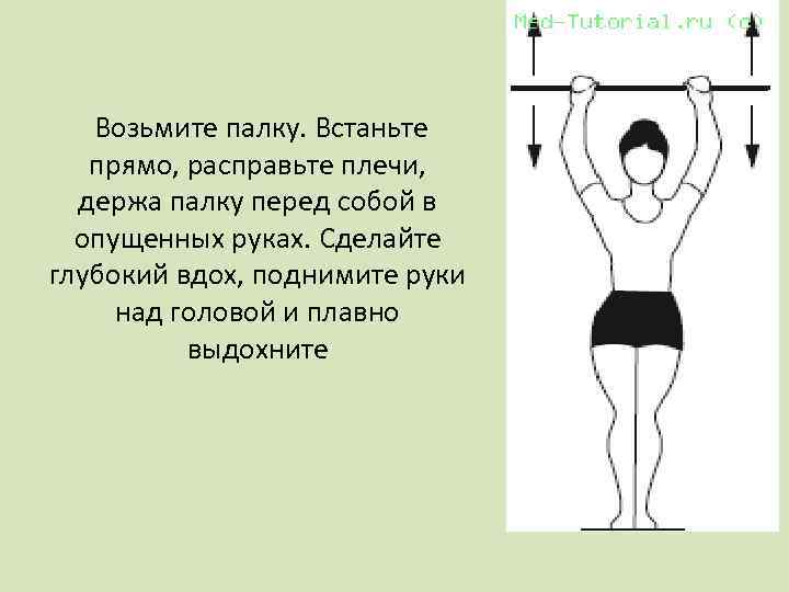  Возьмите палку. Встаньте прямо, расправьте плечи, держа палку перед собой в опущенных руках.