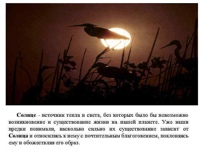 Солнце - источник тепла и света, без которых было бы невозможно возникновение и существование