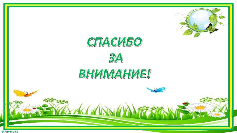 СПАСИБО ЗА ВНИМАНИЕ! © Fokina. Lidia 