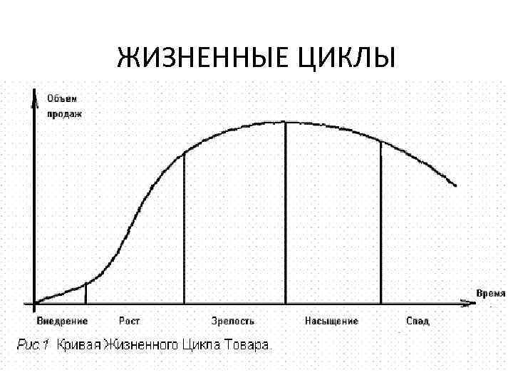 ЖИЗНЕННЫЕ ЦИКЛЫ 