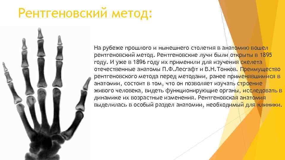 Рентгеновский метод: На рубеже прошлого и нынешнего столетия в анатомию вошел рентгеновский метод. Рентгеновские