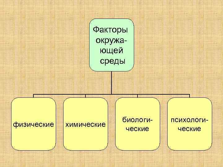 Факторы окружа ющей среды физические химические биологи ческие психологи ческие 