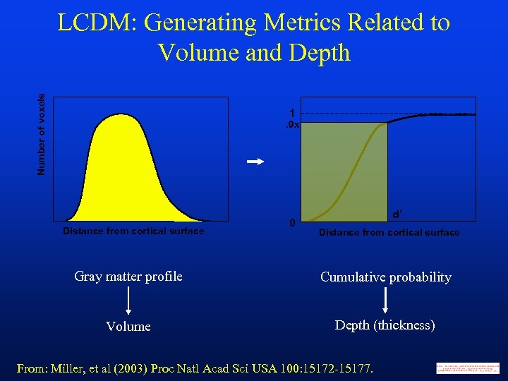 Number of voxels LCDM: Generating Metrics Related to Volume and Depth 1 . 9