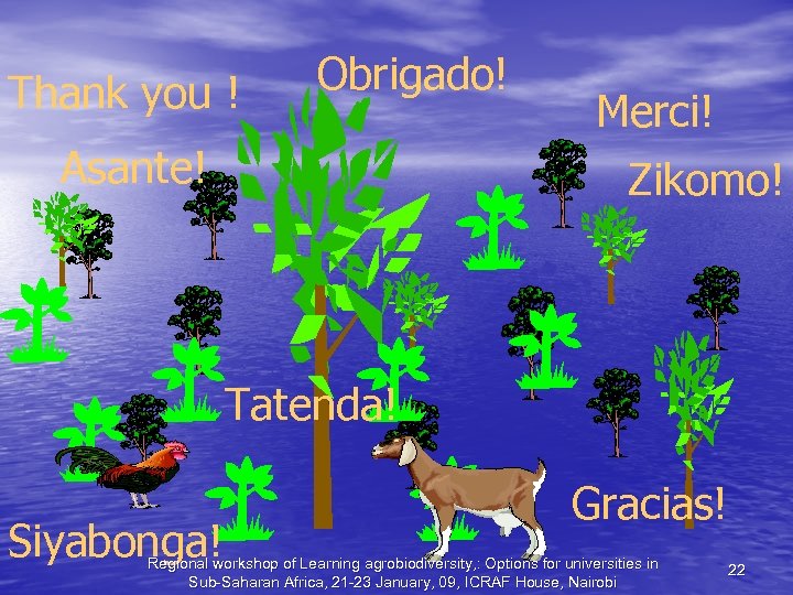 Thank you ! Obrigado! Asante! Merci! Zikomo! Tatenda! Siyabonga! Gracias! Regional workshop of Learning