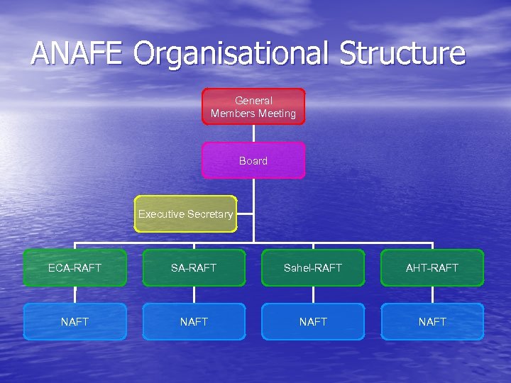 ANAFE Organisational Structure General Members Meeting Board Executive Secretary ECA-RAFT Sahel-RAFT AHT-RAFT NAFT 