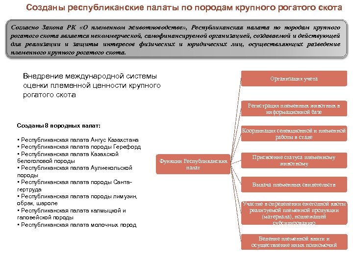 Созданы республиканские палаты по породам крупного рогатого скота Согласно Закона РК «О племенном животноводстве»