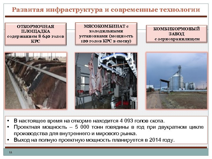 Развитая инфраструктура и современные технологии ОТКОРМОЧНАЯ ПЛОЩАДКА содержанием 8 640 голов КРС МЯСОКОМБИНАТ с