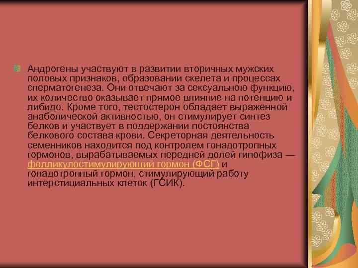 Андрогены участвуют в развитии вторичных мужских половых признаков, образовании скелета и процессах сперматогенеза. Они